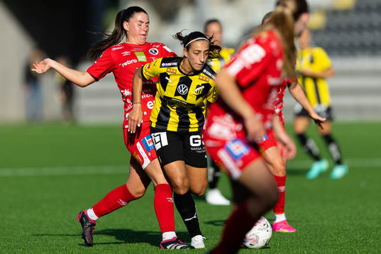 Häckens Rusul Rosa Kafaji