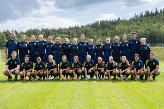 Sveriges F16-landslag