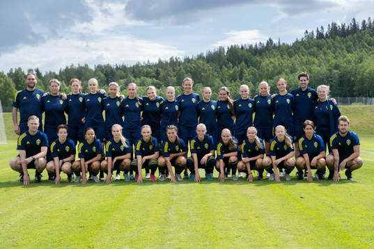 Sveriges F16-landslag