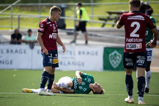Brages Henry Sletsjøe