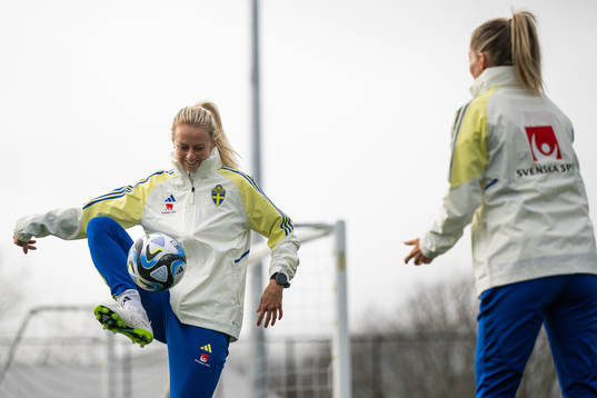 Amanda Ilestedt of the Swedish women's national football