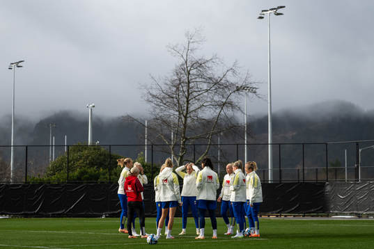 Players of the Swedish women's national football team at a