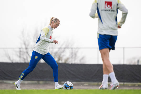 Amanda Ilestedt of the Swedish women's national football