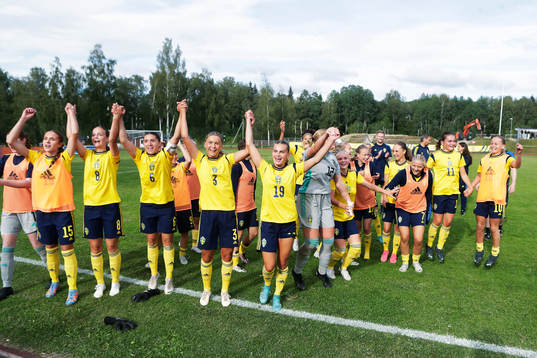 Sveriges spelare jublar