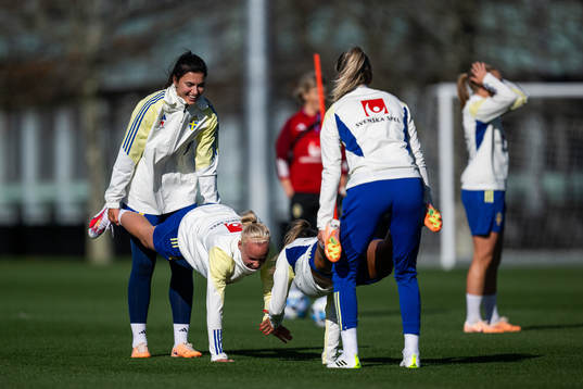goalkeeper Zecira Musovic and Caroline Seger of the Swedish
