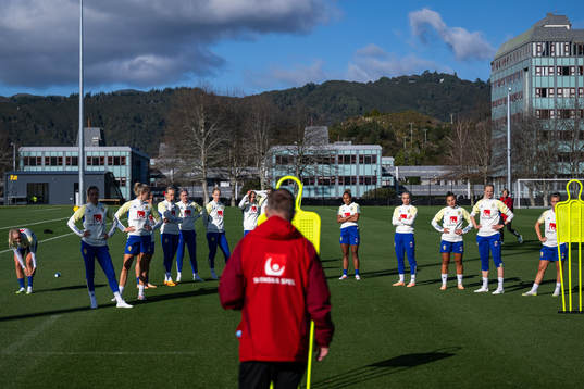 Players of the Swedish women's national football team