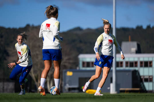 Amanda Ilestedt and Fridolina Rolfö of the Swedish women's