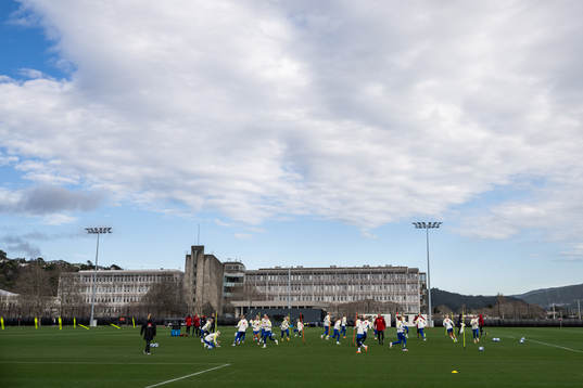 Players of the Swedish women's national football team at a
