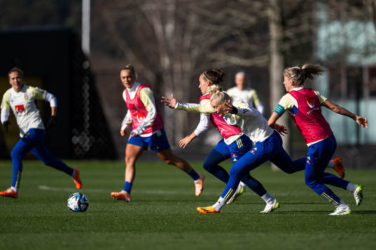 Julia Zigiotti Olme, Stina Blackstenius and Linda Sembrant