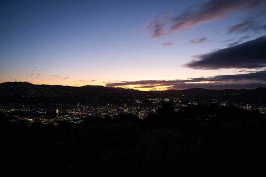The city of Wellington is seen at dusk