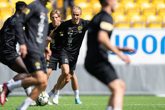 Niklas Hult