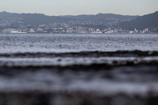 View of Wellington with Wellington Regional Stadium from