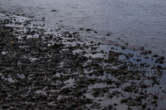 Petone Beach