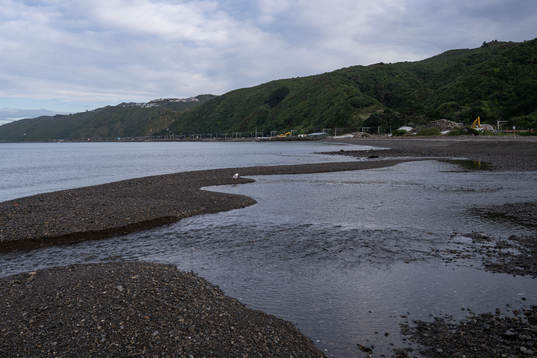 View from Petone Beach
