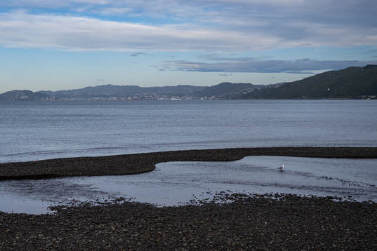 View of Wellington from Petone Beach