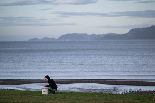 A woman cleans Petone Beach