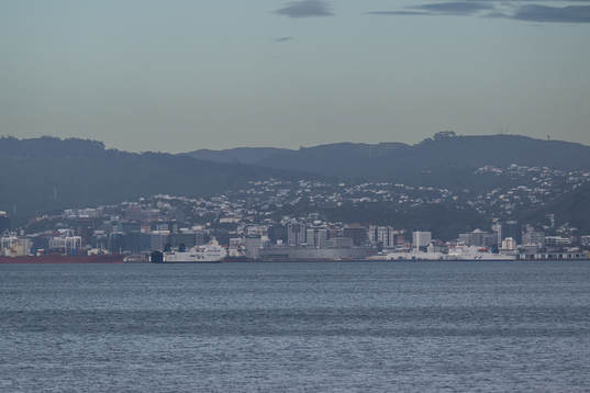 View of Wellington with Wellington Regional Stadium seen