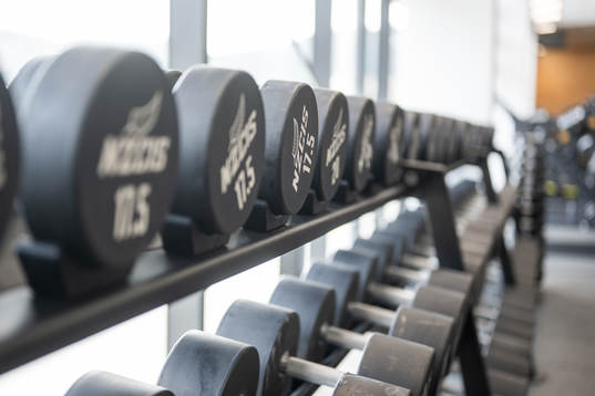 Weights in the gym