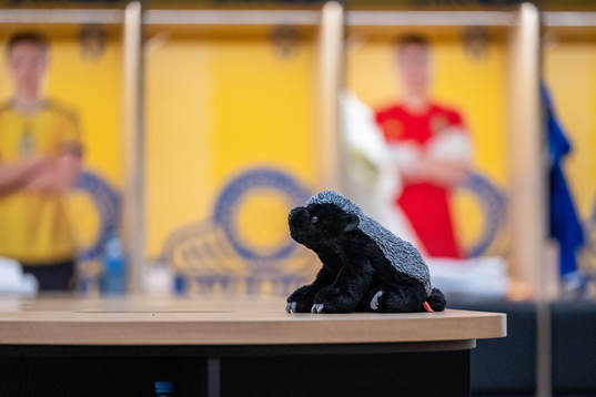 A stuffed animal in the form of a honey badger is seen in