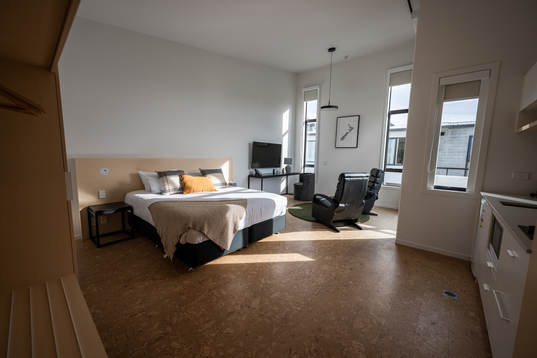 The bed, TV area, and, kitchen in an apartment