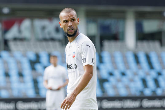 Helsingborgs Sumar Almadjed