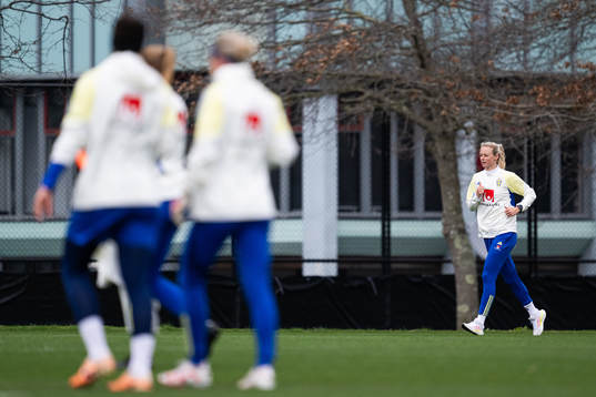 Amanda Ilestedt of the Swedish women's national football
