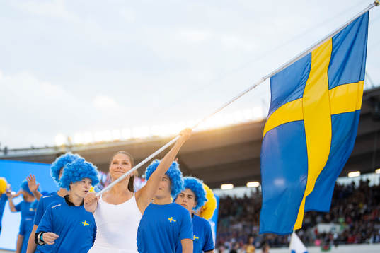En svensk flagga