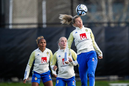 Linda Sembrant of the Swedish women's national football
