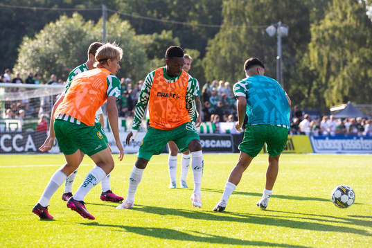 Hammarbys spelare