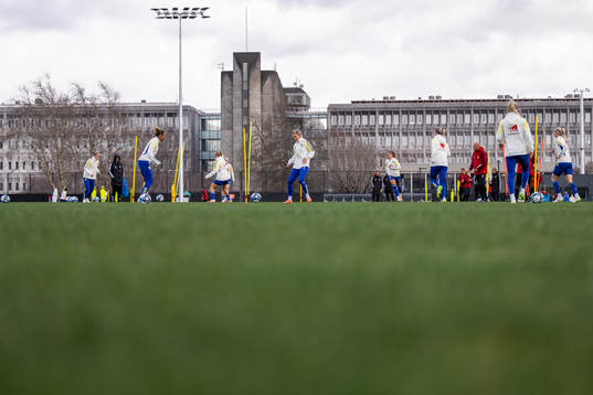 Players of the Swedish women's national football team at a
