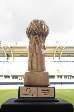 En pokal