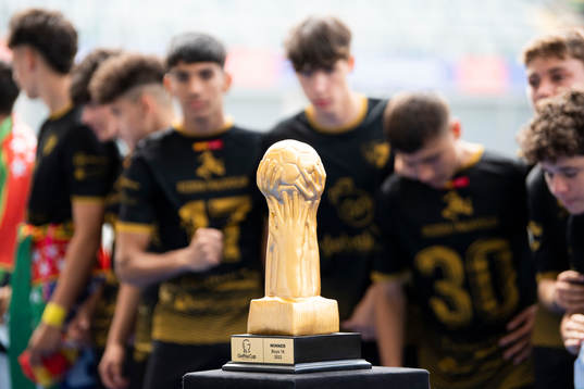En pokal