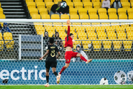 Goalkeeper Zecira Musovic of Sweden