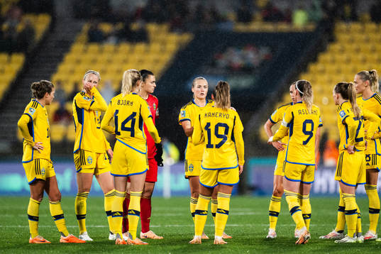 Players of Sweden