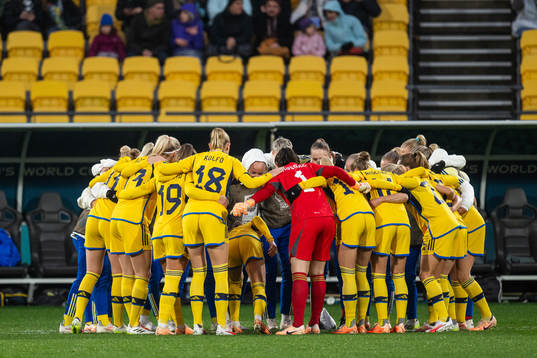 Players of Sweden gather