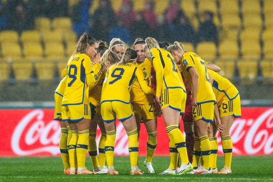 Players of Sweden gather