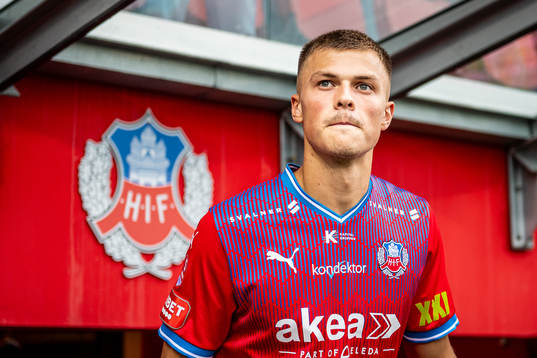 Helsingborgs Erik Ring