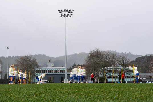 Players of the Swedish women's national football team at a