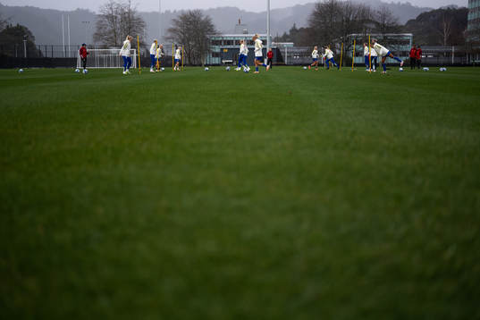 Players of the Swedish women's national football team at a