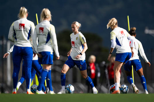 Amanda Ilestedt of the Swedish women’s national football
