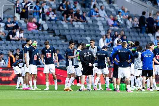 Players of Luzern