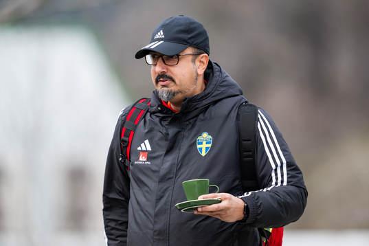 Medical doctor Houman Ebrahimi of the Swedish women's