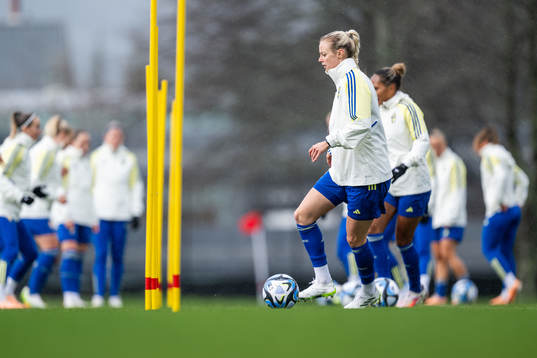 Amanda Ilestedt of the Swedish women's national football
