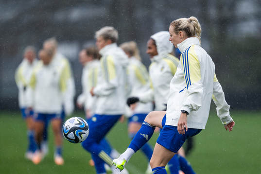 Amanda Ilestedt of the Swedish women's national football