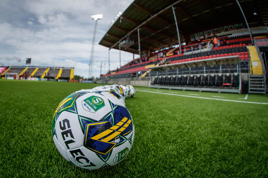 En fotboll
