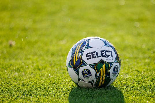 En fotboll
