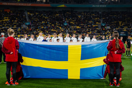 Players of Sweden at line-up
