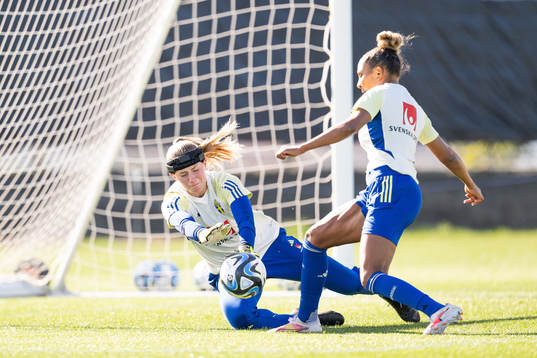 Goalkeeper Tove Enblom and Madelen Janogy of the Swedish