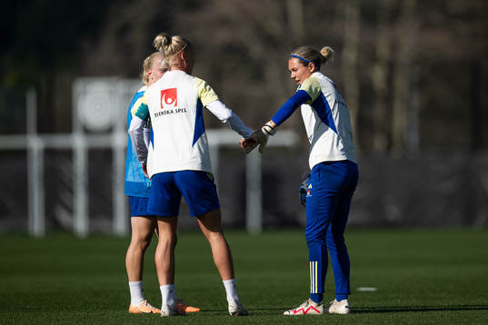 Caroline Seger and goalkeeper Jennifer Falk of the Swedish