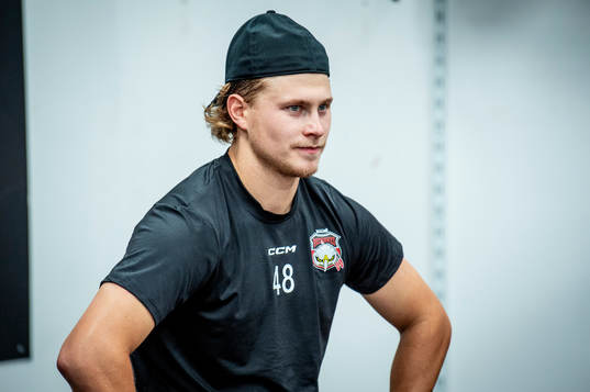 Lauri Pajuniemi
